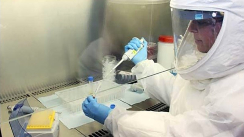 El Malbrán monitorea la evolución genómica del virus en el país.