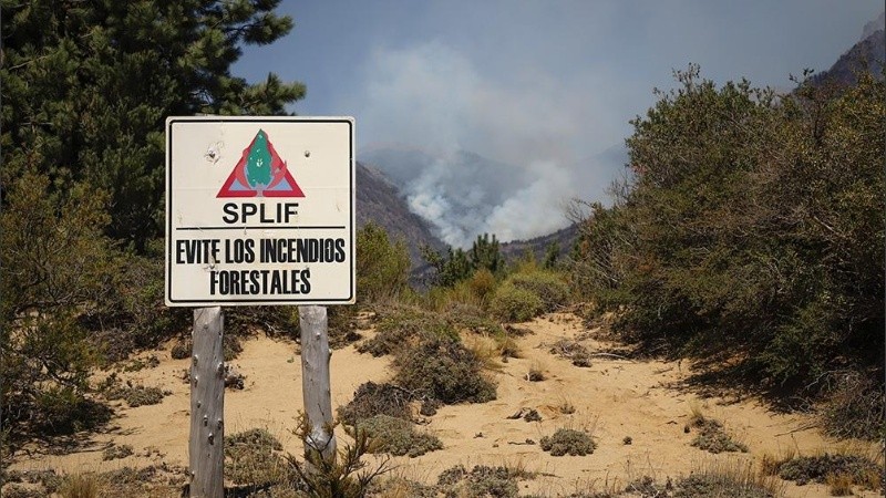 Entre el 1 de enero y el 29 de marzo los incendios afectaron 74.781 hectáreas.