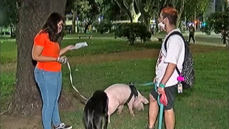 Bruno pasea a Peppa a diario en la plaza Sarmiento.