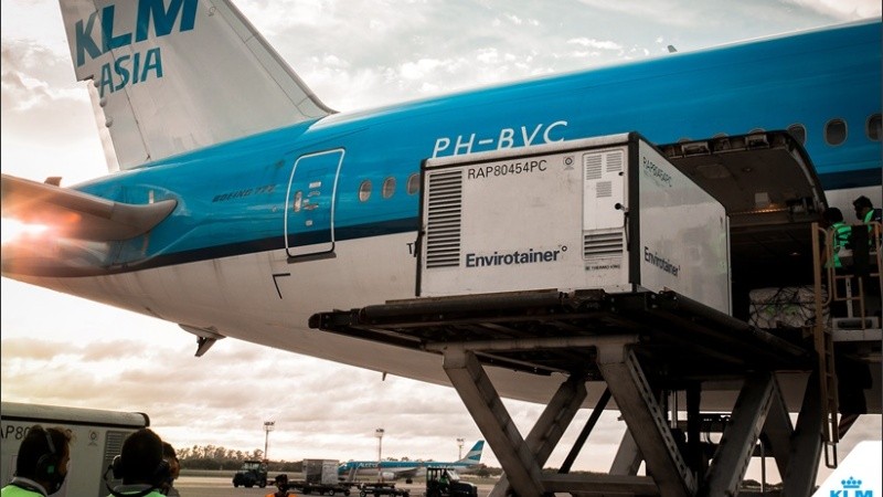 La partida arribó este domingo a Ezeiza.