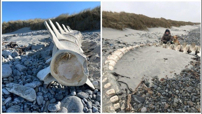 El descubrimiento del esqueleto se dio cuando la pareja paseaba con su perro.
