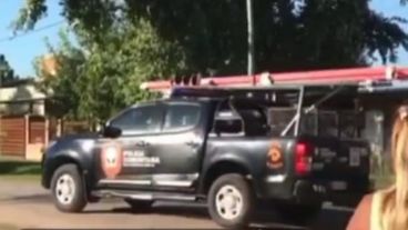 Un operativo de la Policía Comunitaria en Roldán para encontrar el puma suelto.