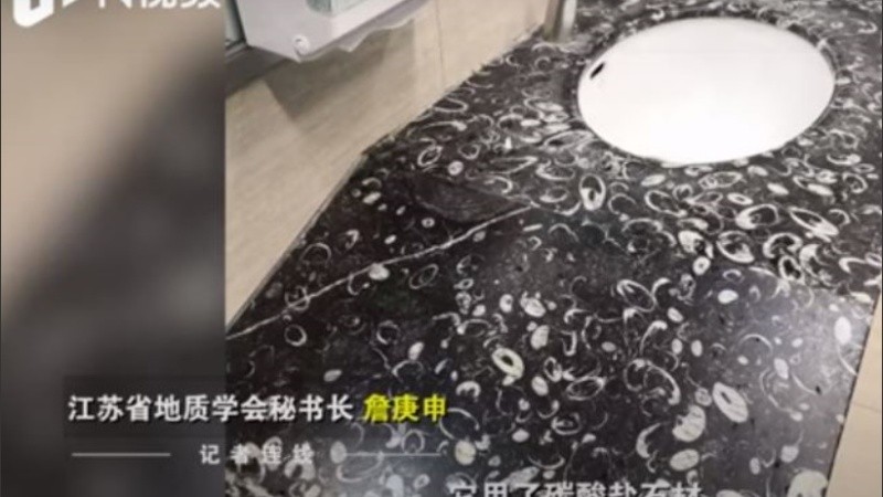 Los fósiles pertenecen a una especie poco conocida.