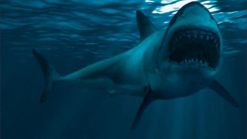  Se calcula que medía entre 10 y 18 metros de longitud.