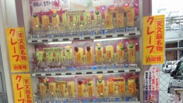 Los insectos son una gran fuente de proteínas y nutrientes.