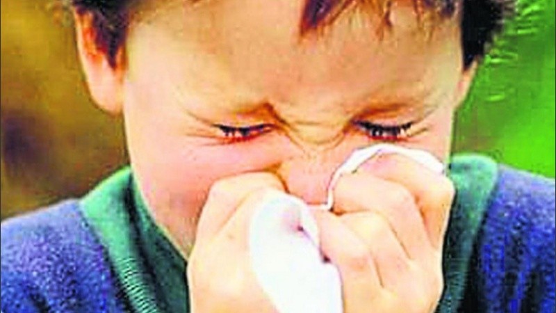 Cerca de 250 mil niños menores de 5 años sufren alguna alergia alimentaria en Argentina.