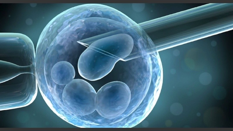 El Simposio se realizará de manera virtual y reunirá a expertos de la ciudad, el país y el exterior