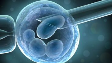 El Simposio se realizará de manera virtual y reunirá a expertos de la ciudad, el país y el exterior