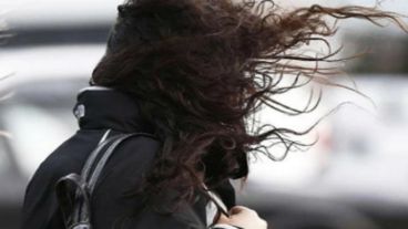 Un día para que vuelen los pelos.