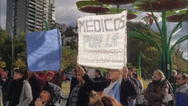 El grupo se autodenomina "Médicos por la verdad".