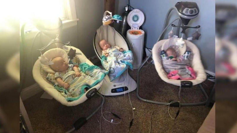 Todos se encuentran en perfecto estado de salud.