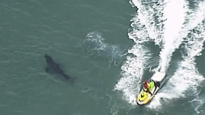 El video se hizo viral, acumulando millones de visualizaciones.