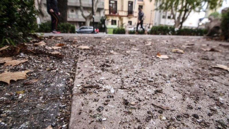 Una postal que se repite a lo largo del paseo Oroño.