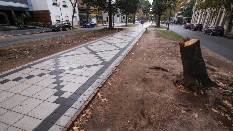 Zonas sin cesped en el paseo Oroño.