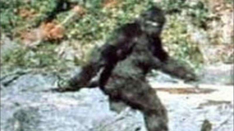 Los que dicen haberlo visto lo describen con una altura de 1,83 m a 2,13 m y 160 kg de peso.