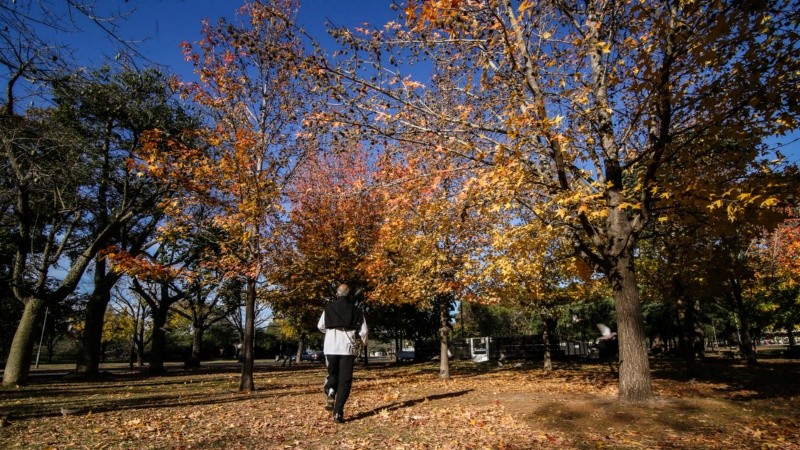 Los colores amarillos y naranjas de las hojas embellecen el parque Urquiza.
