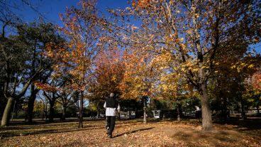 Los colores amarillos y naranjas de las hojas embellecen el parque Urquiza.