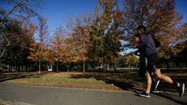 Los colores amarillos y naranjas de las hojas embellecen el parque Urquiza.