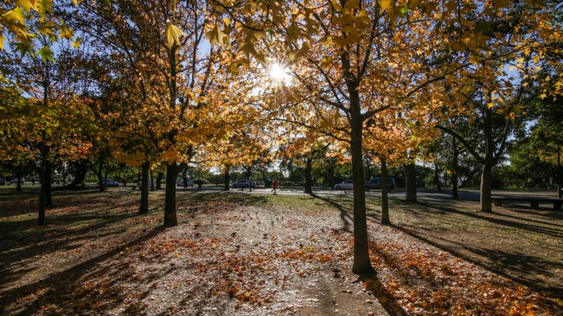Los colores amarillos y naranjas de las hojas embellecen el parque Urquiza.