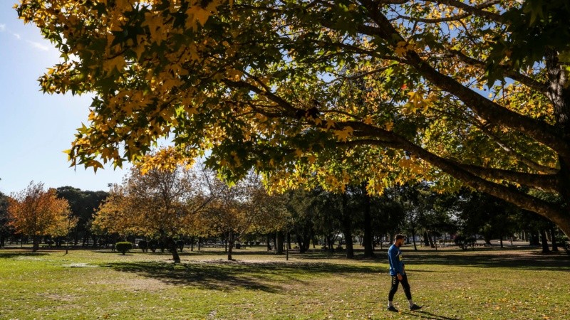 Los colores amarillos y naranjas de las hojas embellecen el parque Urquiza.