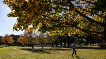 Los colores amarillos y naranjas de las hojas embellecen el parque Urquiza.