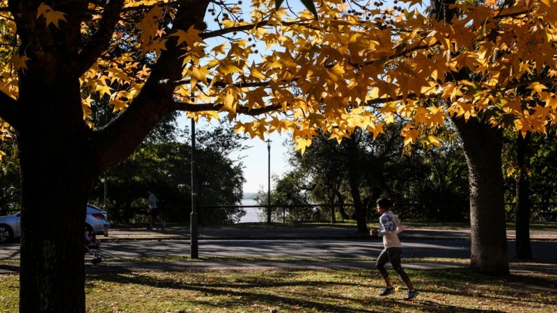 Los colores amarillos y naranjas de las hojas embellecen el parque Urquiza.