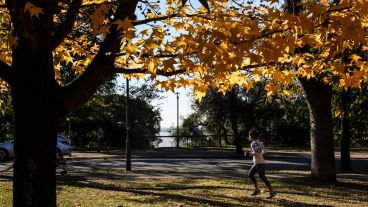 Los colores amarillos y naranjas de las hojas embellecen el parque Urquiza.