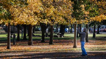 Los colores amarillos y naranjas de las hojas embellecen el parque Urquiza.