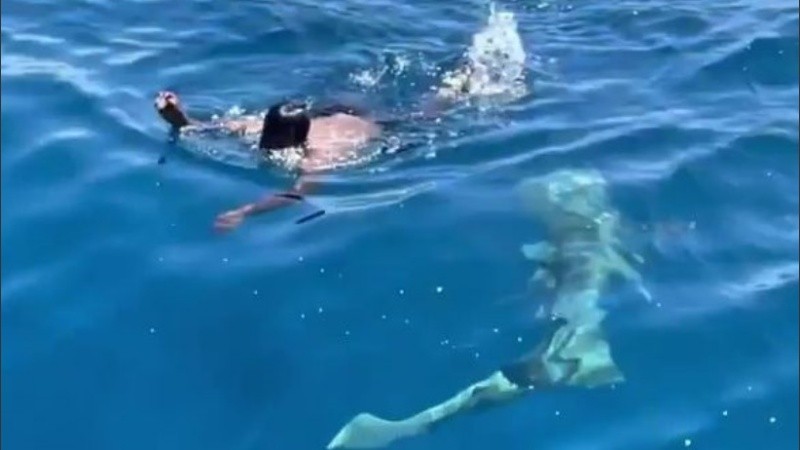 En las redes sociales elogiaron a Mohammad por su notable esfuerzo.