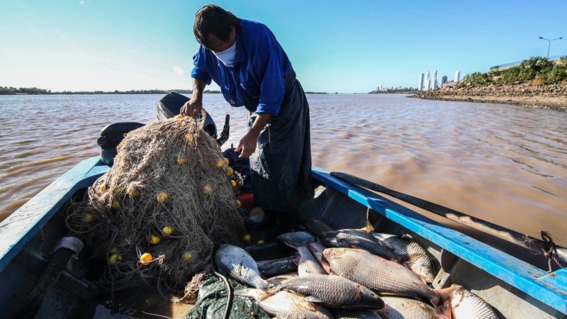 Durante el mes de junio y hasta tanto una nueva norma la sustituya, continúa totalmente prohibida la pesca comercial durante los días viernes, sábados, domingos y feriados.