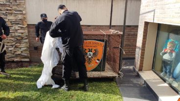 Los chicos encantados con el puma en su patio y la abuela espantada.
