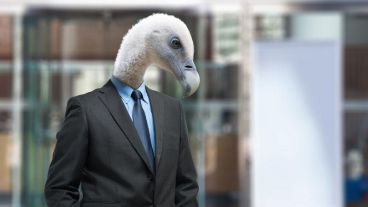 "Ya no es palomas contra halcones sino halcones contra buitres". Caliente interna en Juntos por el Camio