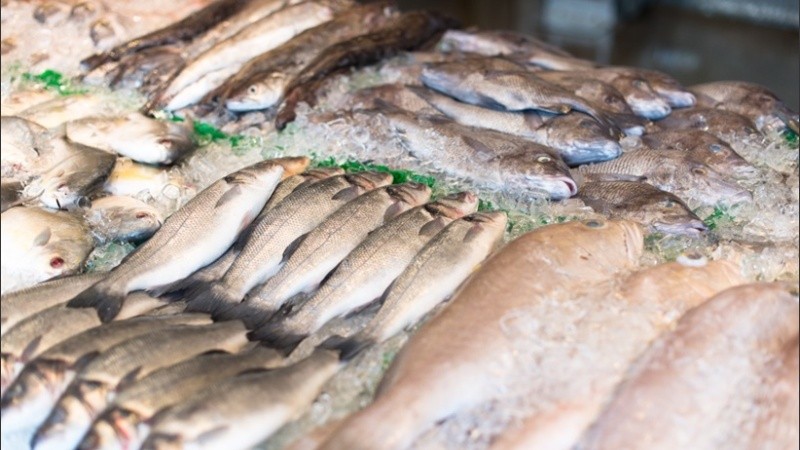 La pescadería saldrá por ferias y plazas esta semana.