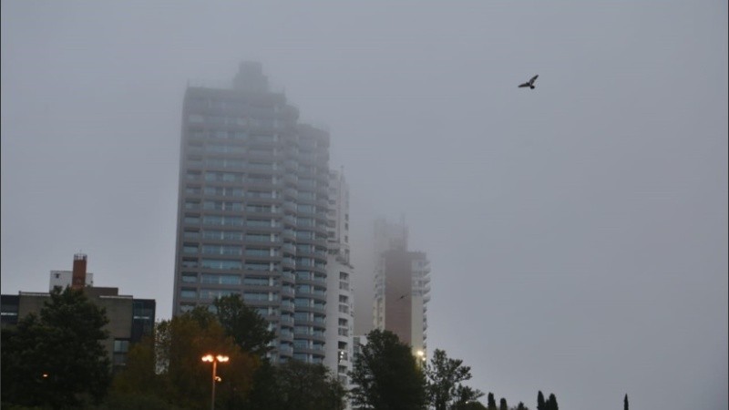Otra mañana con niebla en Rosario