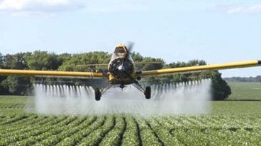 Las organizaciones reclaman una nueva ley sobre fumigaciones.