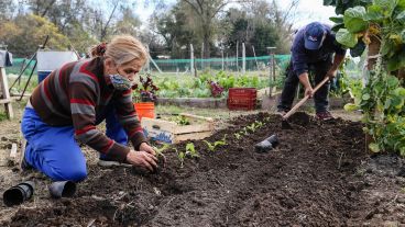 Trabajar con la tierra: así es por dentro el Parque Huerta Oeste.