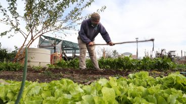 Trabajar con la tierra: así es por dentro el Parque Huerta Oeste.
