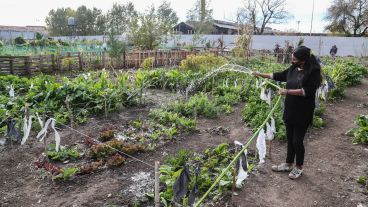 Trabajar con la tierra: así es por dentro el Parque Huerta Oeste.