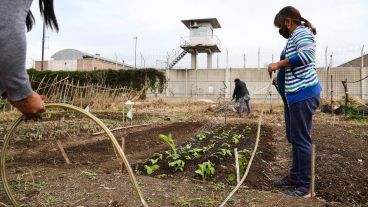 Trabajar con la tierra: así es por dentro el Parque Huerta Oeste.