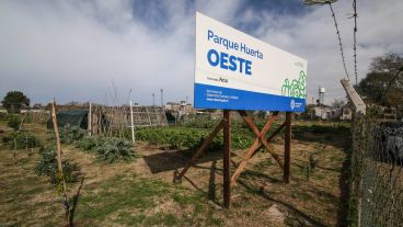 Trabajar con la tierra: así es por dentro el Parque Huerta Oeste.
