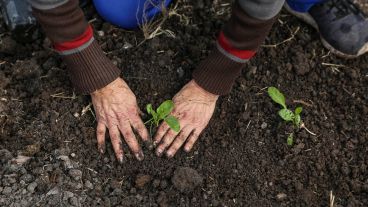 Trabajar con la tierra: así es por dentro el Parque Huerta Oeste.