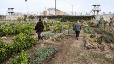 Trabajar con la tierra: así es por dentro el Parque Huerta Oeste.