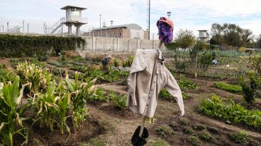 Trabajar con la tierra: así es por dentro el Parque Huerta Oeste.