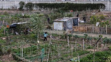 Trabajar con la tierra: así es por dentro el Parque Huerta Oeste.