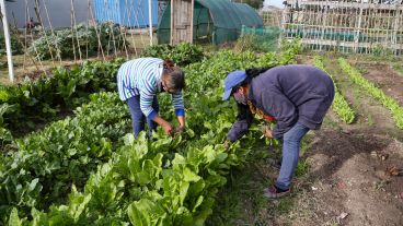 Trabajar con la tierra: así es por dentro el Parque Huerta Oeste.