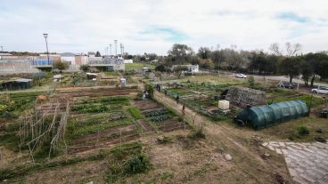 Trabajar con la tierra: así es por dentro el Parque Huerta Oeste.
