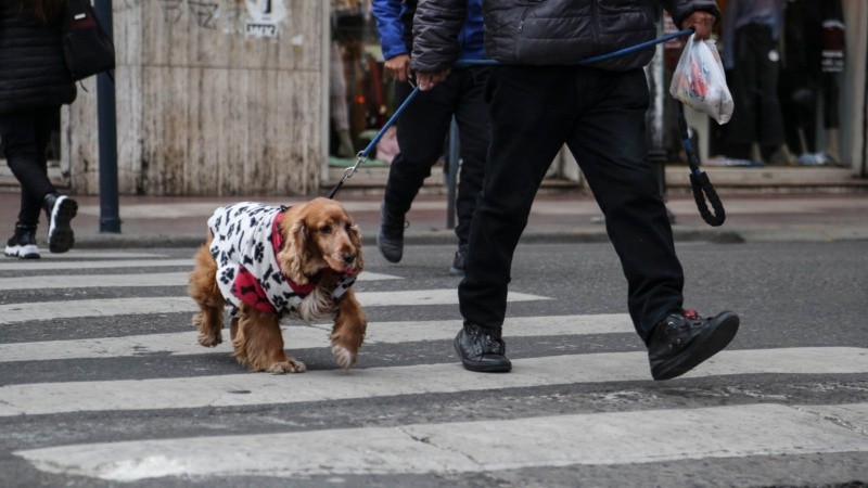 Bien abrigados: Rosario amaneció con temperaturas muy bajas este miércoles.