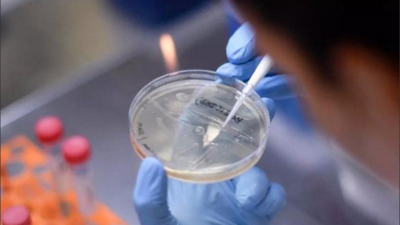 La variante Delta tiene dos mutaciones que están presentes en otras ya analizadas.