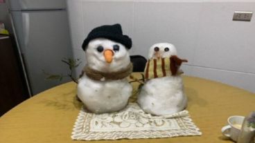 De esta manera, lograron romper el récord Guinness del muñeco de nieve más longevo del mundo que "vive" desde el 2007.