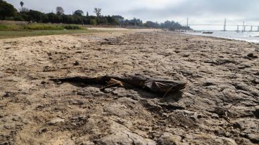 La Niña seguirá hasta fin de año y la bajante persiste.